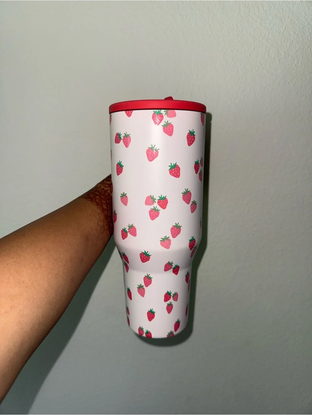 strawberry hydrojug